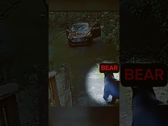 This family found unexpected thing on  their way…..