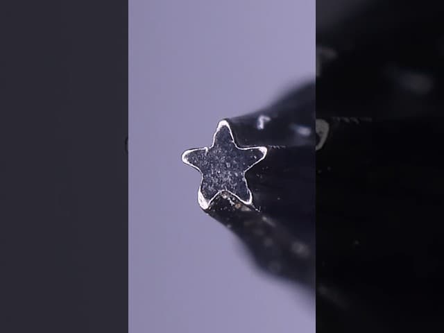 P2 Pentalobe Screwdriver and Screw