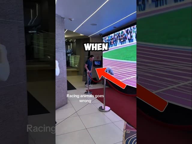 At least He won 😅🤣 #race #challenge #zoo