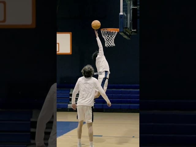 i might be lebron #funny #basketball