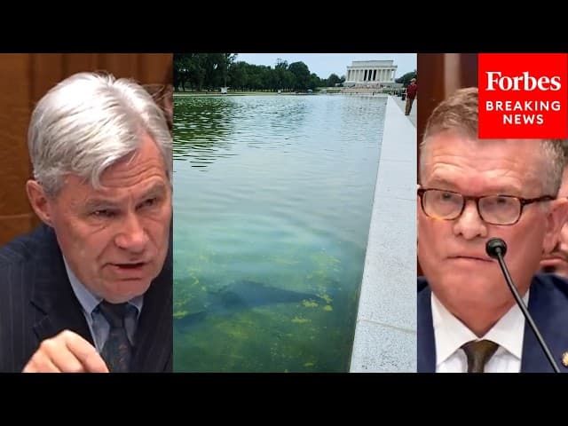 'Did Someone Cut A 350-Foot Gash?': Whitehouse Grills USFWS Nom On Alleged Reflecting Pool Vandalism