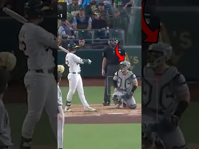 he snitched on him…