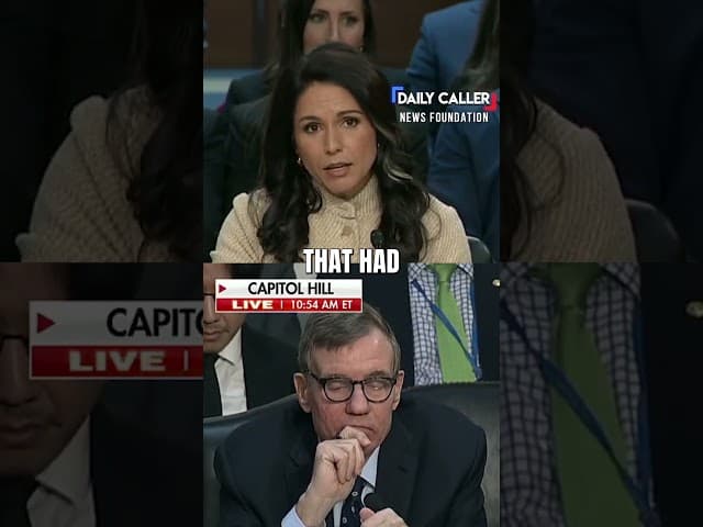 Tulsi MANHANDLES Raging Dem With Ease Over Fulton County Accusation