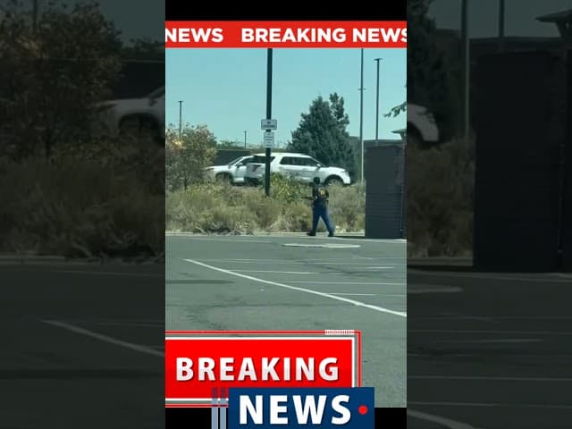 ActiVe shooter fires at TESLA'S IDAHO
