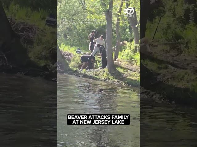 Beaver attacks family at New Jersey lake