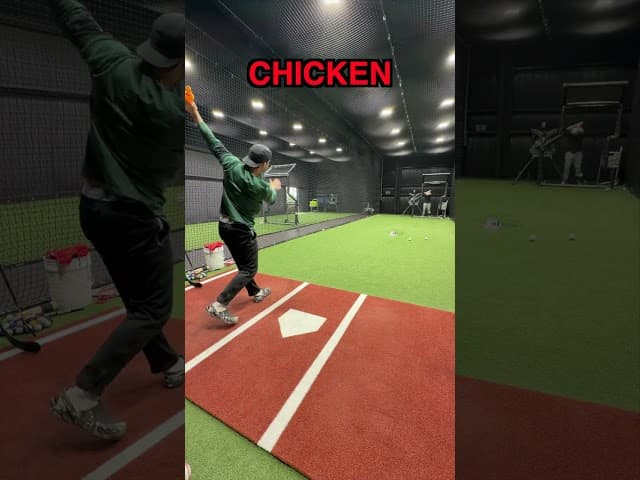 The Best Bat Material Revealed!!!