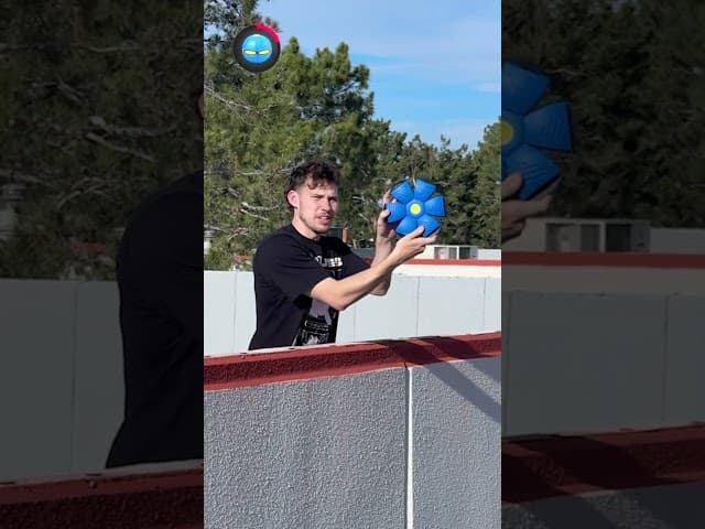 Which Ball Will Bounce The Highest!?