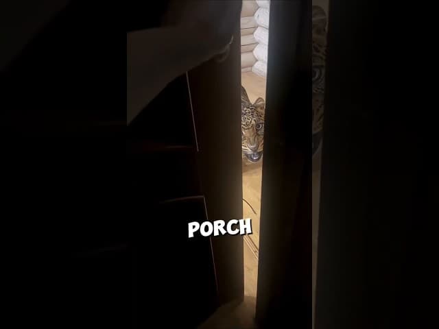 This woman found an angry leopard at her door ❤️ #shorts