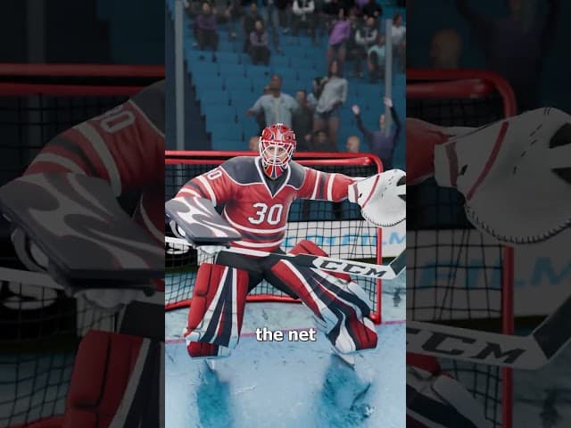 The Hockey Goal That Should Not Have Happened 😬