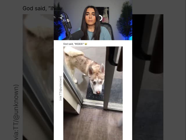 DOG ALMOST GETS STRUCK BY LIGHTNING.. 😭