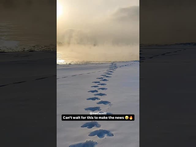 I’m Making History 🦖