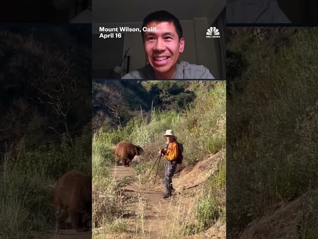 Bear charges hiker in Southern California