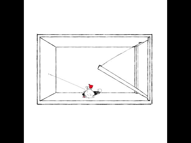 ?? Pls help #art #animation