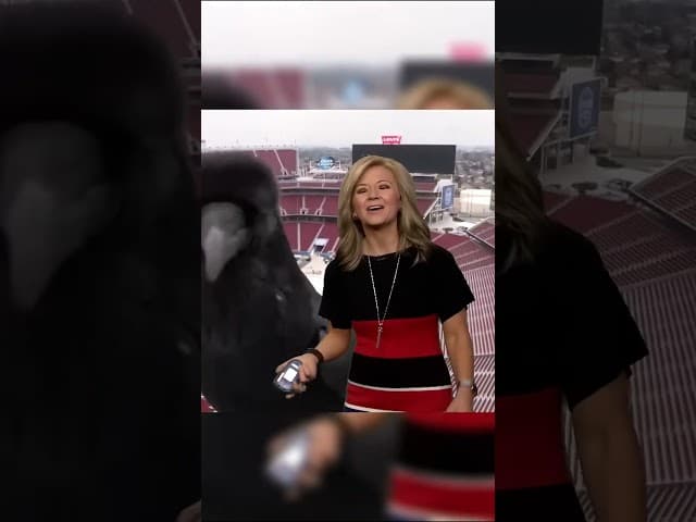 Raven Hijacks Live Weather Report Mid-Broadcast...