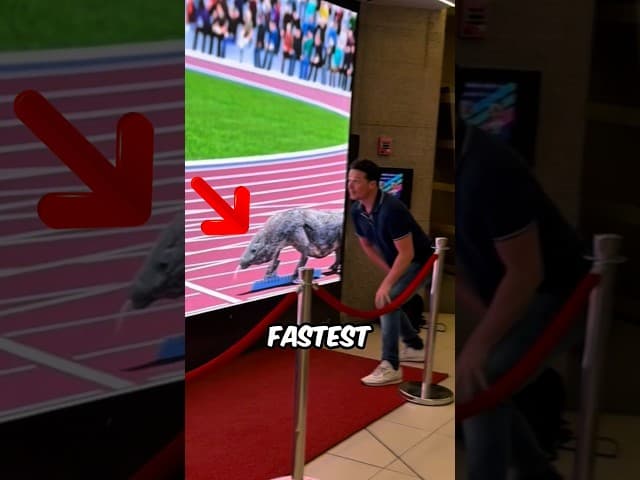 This Animal Racing Game Is EVIL!!