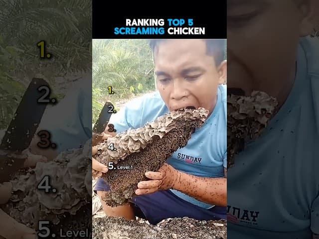 DON’T CHECK THE SOUND 😳😳
