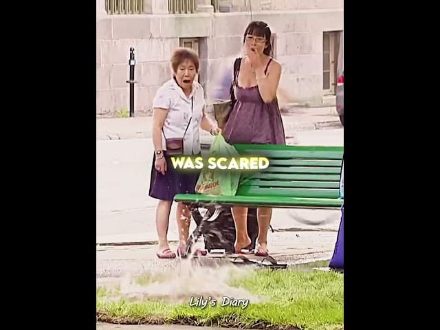 Why She's The Kindest Person Ever 😍❤...@gags