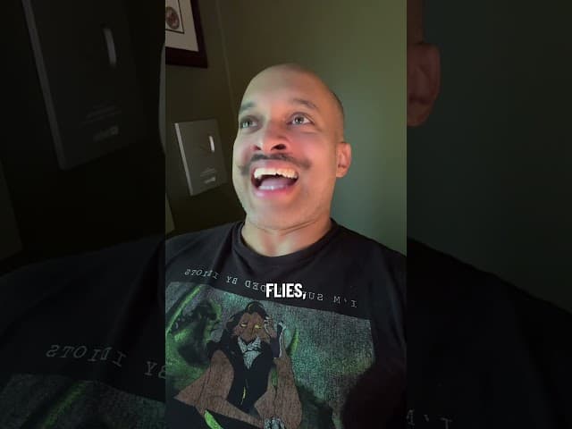 Plague of flies!