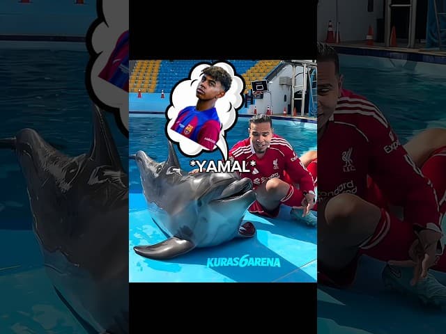 Footballers Vs 200 IQ Dolphin 🥶