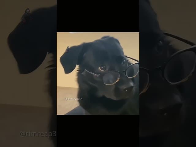 How did bro catch that? 😭 #basketball