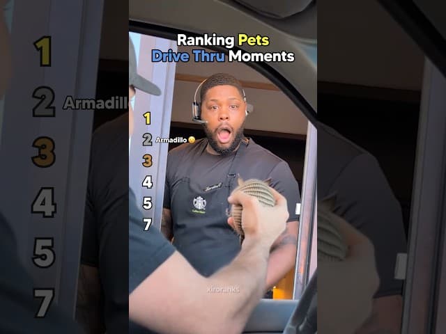 Ranking Pets Drive Thru Moments