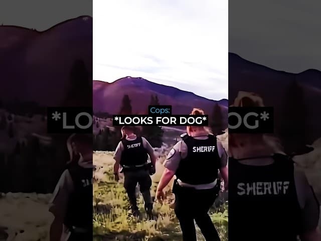Man Spares The Dog But Not The Owner #police #cops #bodycam