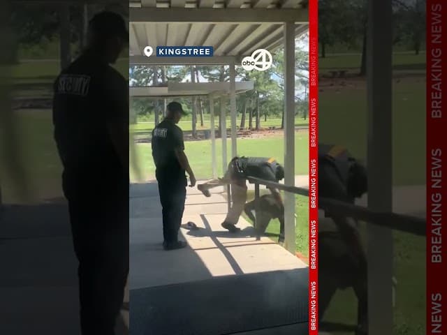 Deputy faces charges after wrestling teen to the ground