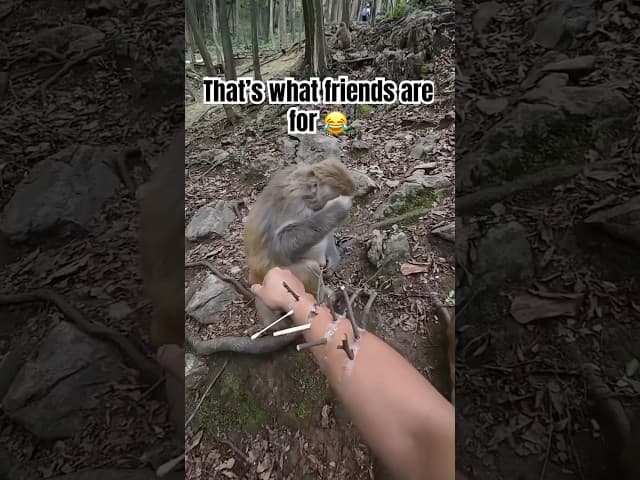 We All Need A Little Hand 😂