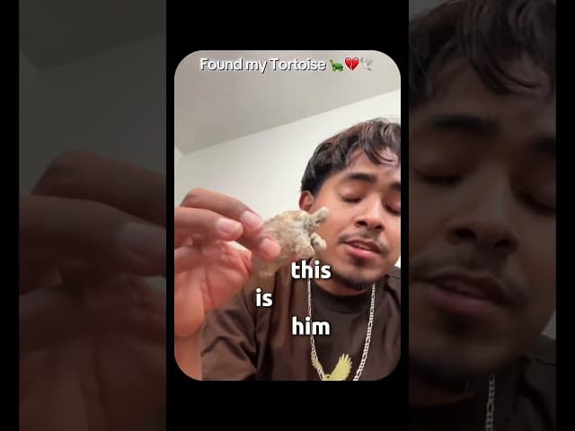 Part 2 | He Lost His Turtle 😂 #funny #hopecore #hopelesscore #comedy