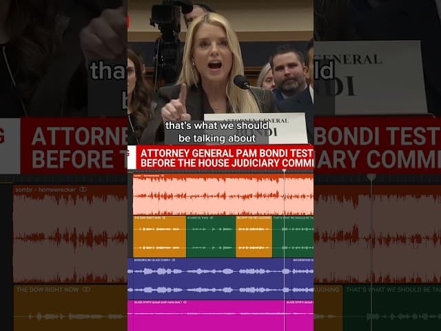 Auto-Tune the Pam Bondi Hearing So That It Transforms Hootin and Hollerin Into A Sonorous Rhapsod