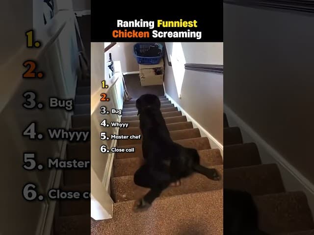 Ranking Funniest Chicken Screaming 😭💀