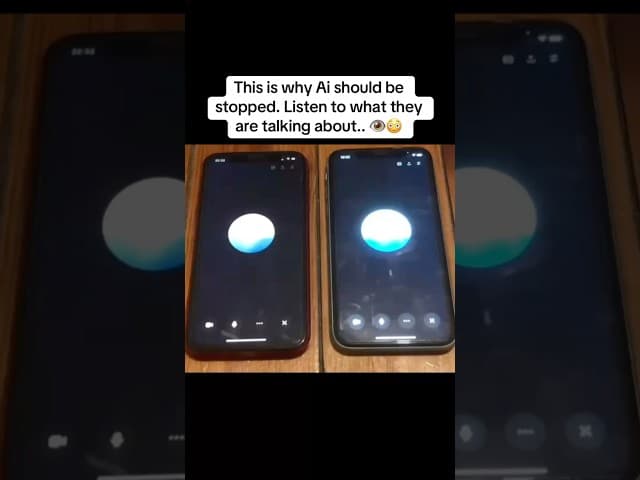 Two AI’s speaking is very scary. AI needs to be stopped 😳