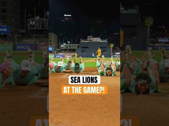 They’re really good! 🦭🤩 #bananaball #baseball #locobeachcoconuts #mlb #tiktok #shortsfeed #trend