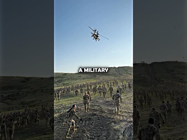 Marines Never Disappoint