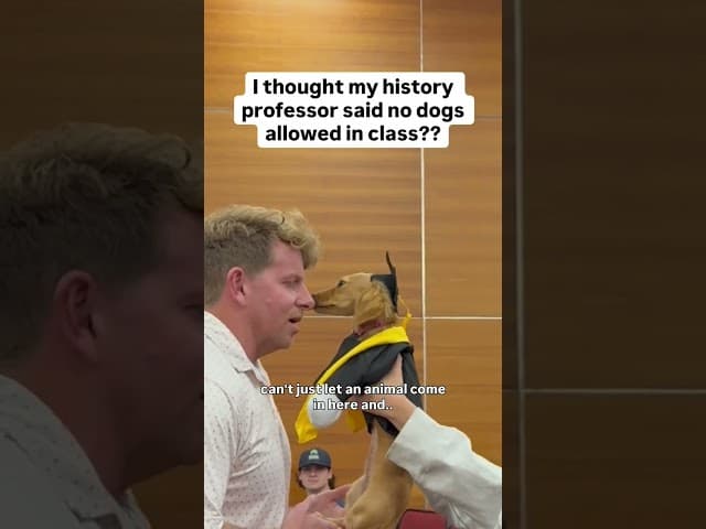 Sneaking a dog into class and getting caught