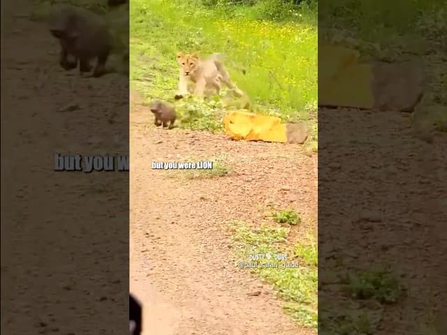 Baby Warthog Runs His Mouth… and His Legs 🤣