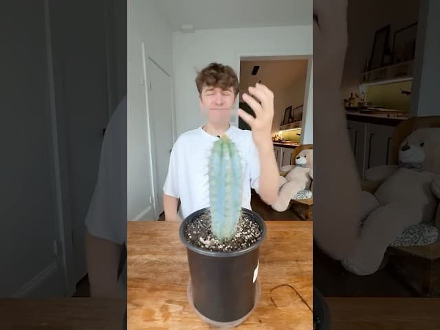 If You Accidentally Touch A Cactus 🌵