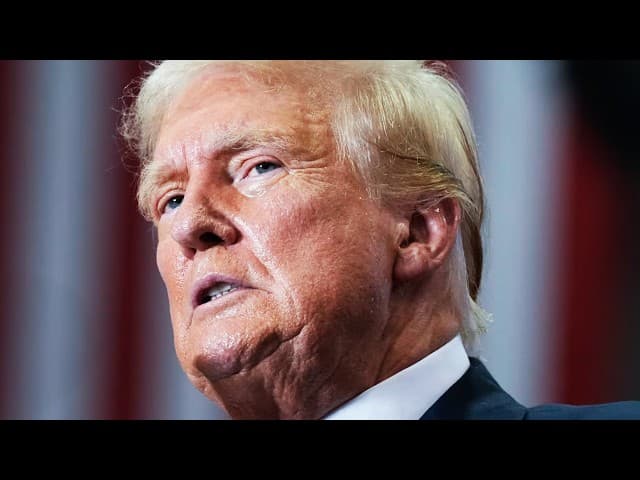 They have a plan to REMOVE TRUMP NOW