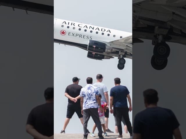 Ex-Air Canada pilot flew with forged licence: police