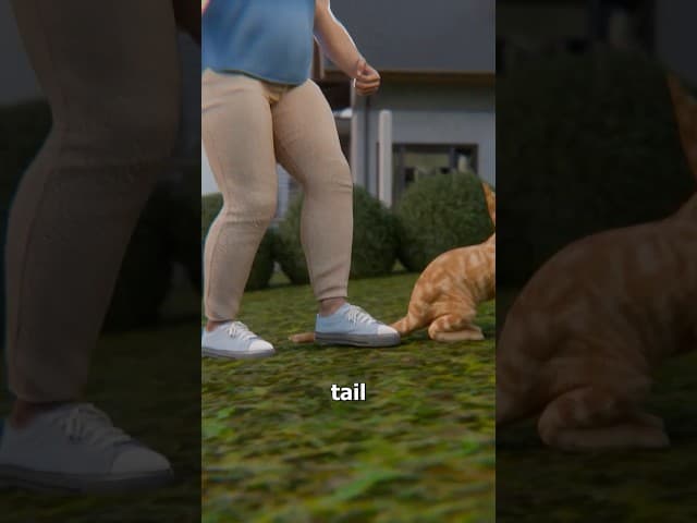 He Stomped On My Cat's Tail 😤