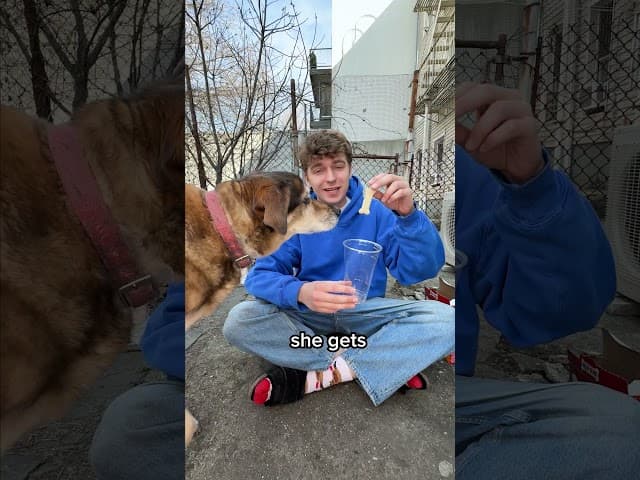 Make My Dog Happy 🥰