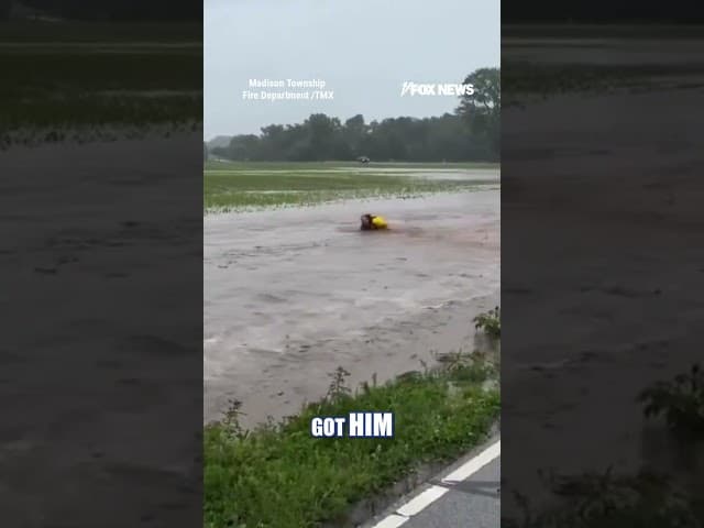 WATCH: A fire captain jumped into rushing floodwaters to save a baby deer