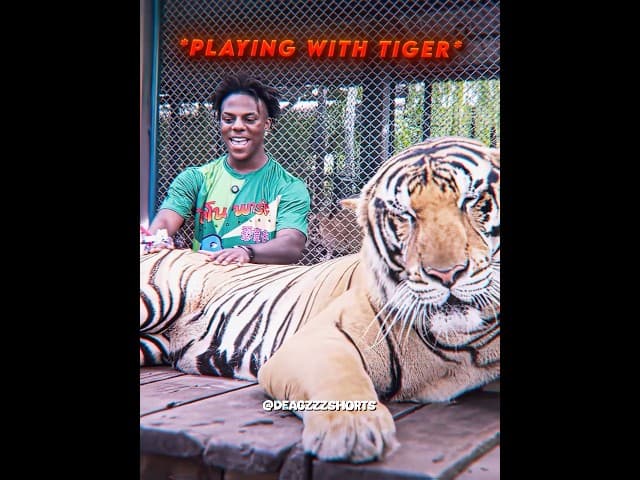 Bro ragebaited a tiger 💀🙏