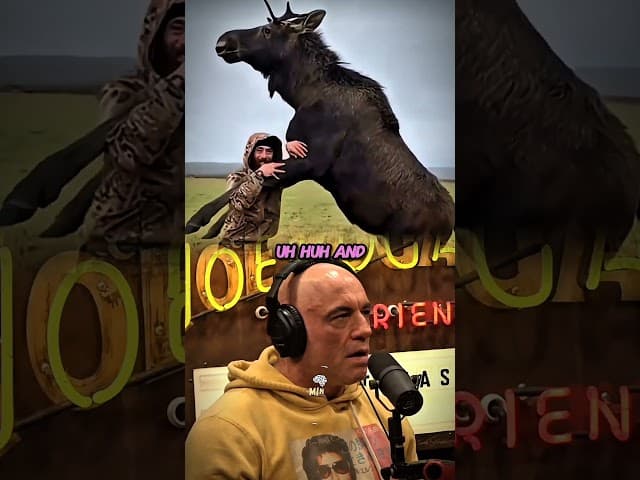 Rogan reacts to a new video behind Charlie kirk