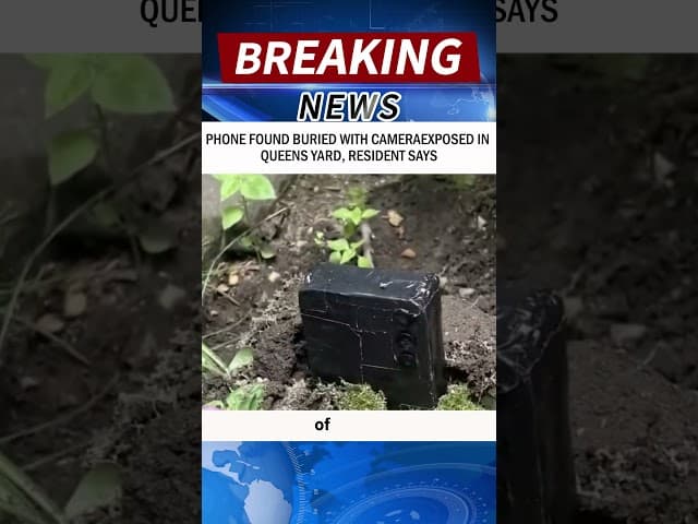PHONE FOUND BURIED WITH CAMERAEXPOSED IN QUEENS YARD, RESIDENT SAYS #news #breakingnews#shorts
