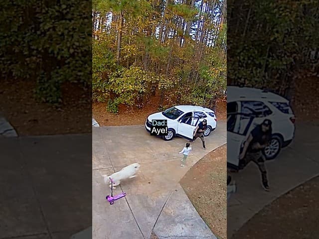 Hero Dad Saves Daughter From Dog