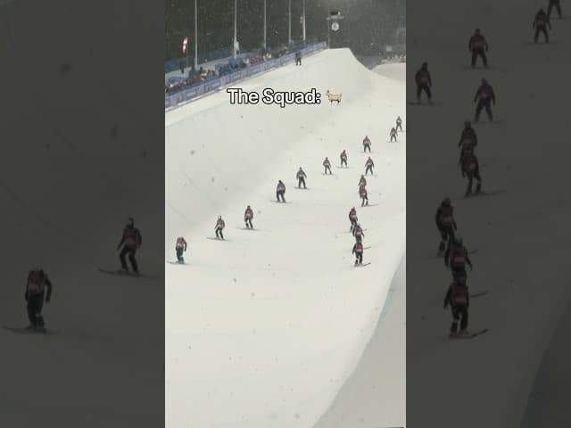 Their aura 🐐 #olympics #olympic #sports #winterolympics #lwinterolympics2026