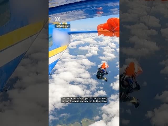 Skydiver gets parachute caught on plane | ABC NEWS