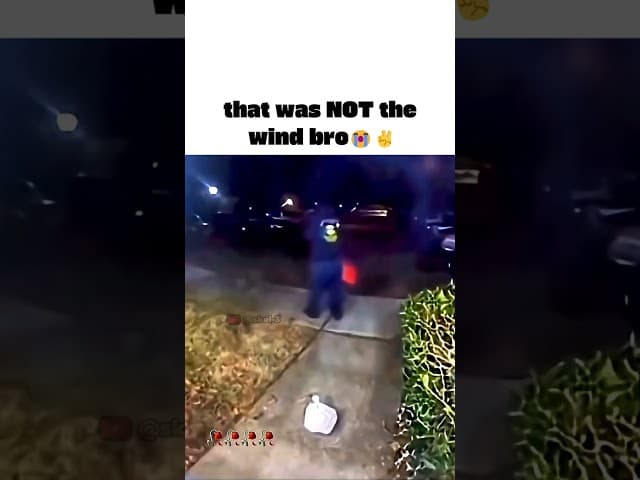 #memeanimation