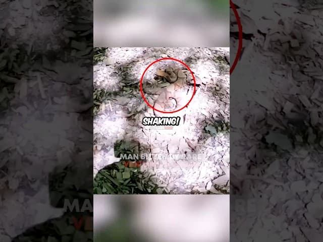 Man Bitten By RARE VENOMOUS Snake 🐍 😳 Cred: @DOUBLEO_ObsessionOutdoors